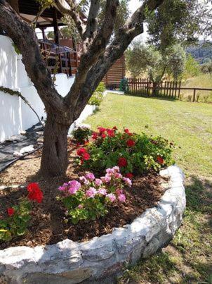 Ases Villa Lagonisi Halkidiki Ormos Panagias Exterior photo